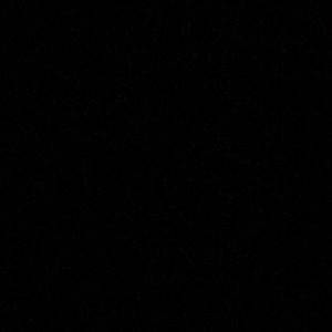 Meet your Posher, Judith